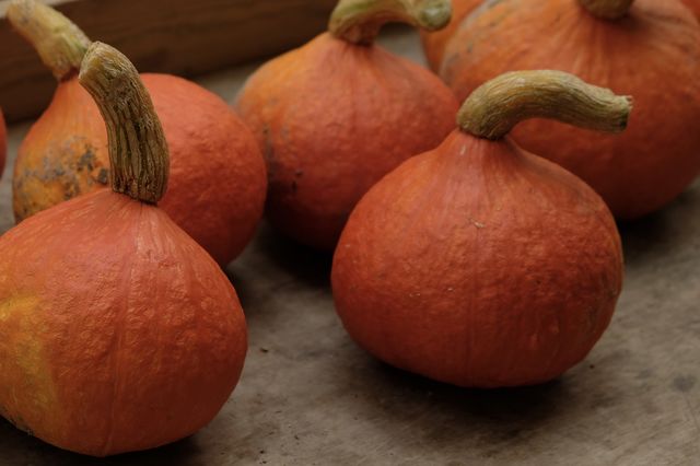 Red Kuri Squash