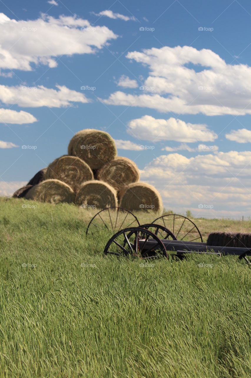 Bale of hay on field