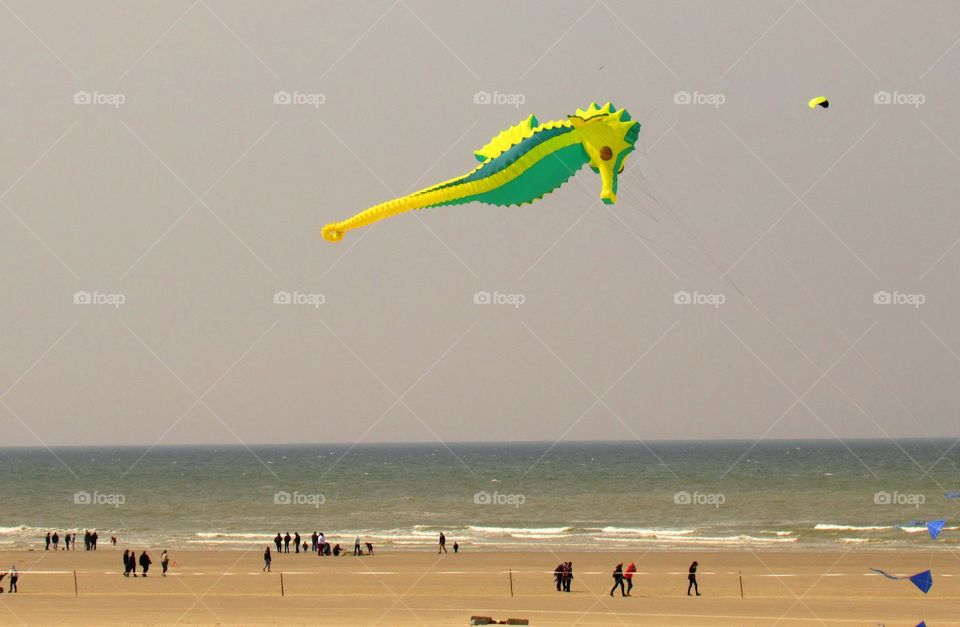 Berck kite competition