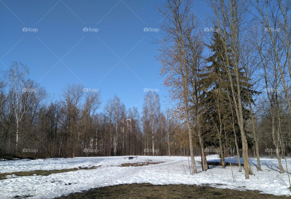 quadcopter landscape in the solar park blue sky background