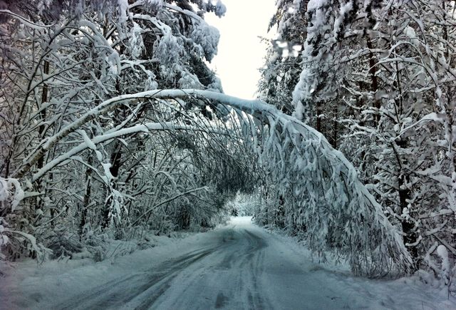 Heavy snow 