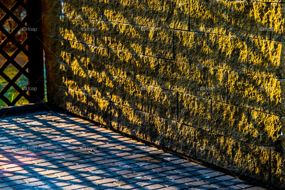 Shadows of fence on wall
