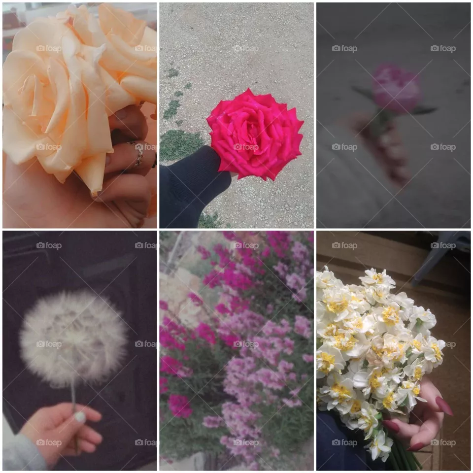 Flowers