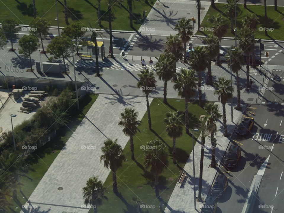 Cenital view of Palms Park