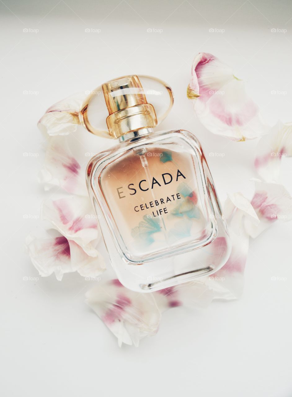 the fragrance of perfume is something airy and elusive, filled with shades and nuances that easily escape logic and understanding. Each perfume is able to slightly touch events from the past. 