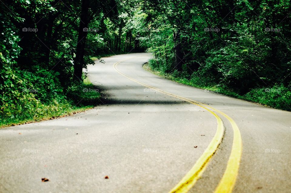 Curved Road