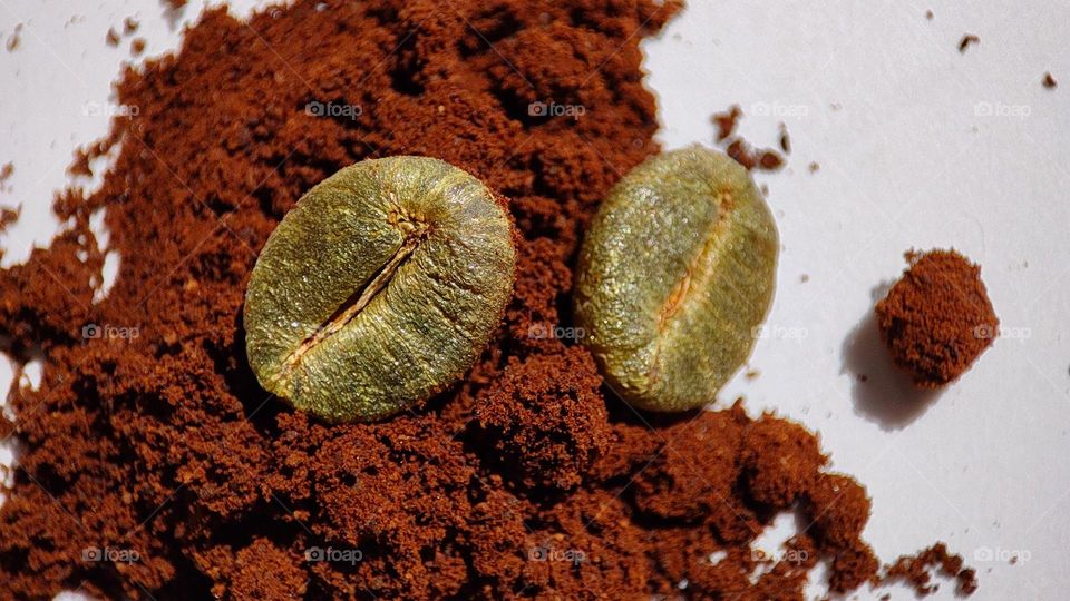 macro image of golden colour Coffee beans above coffee powder on a white surface