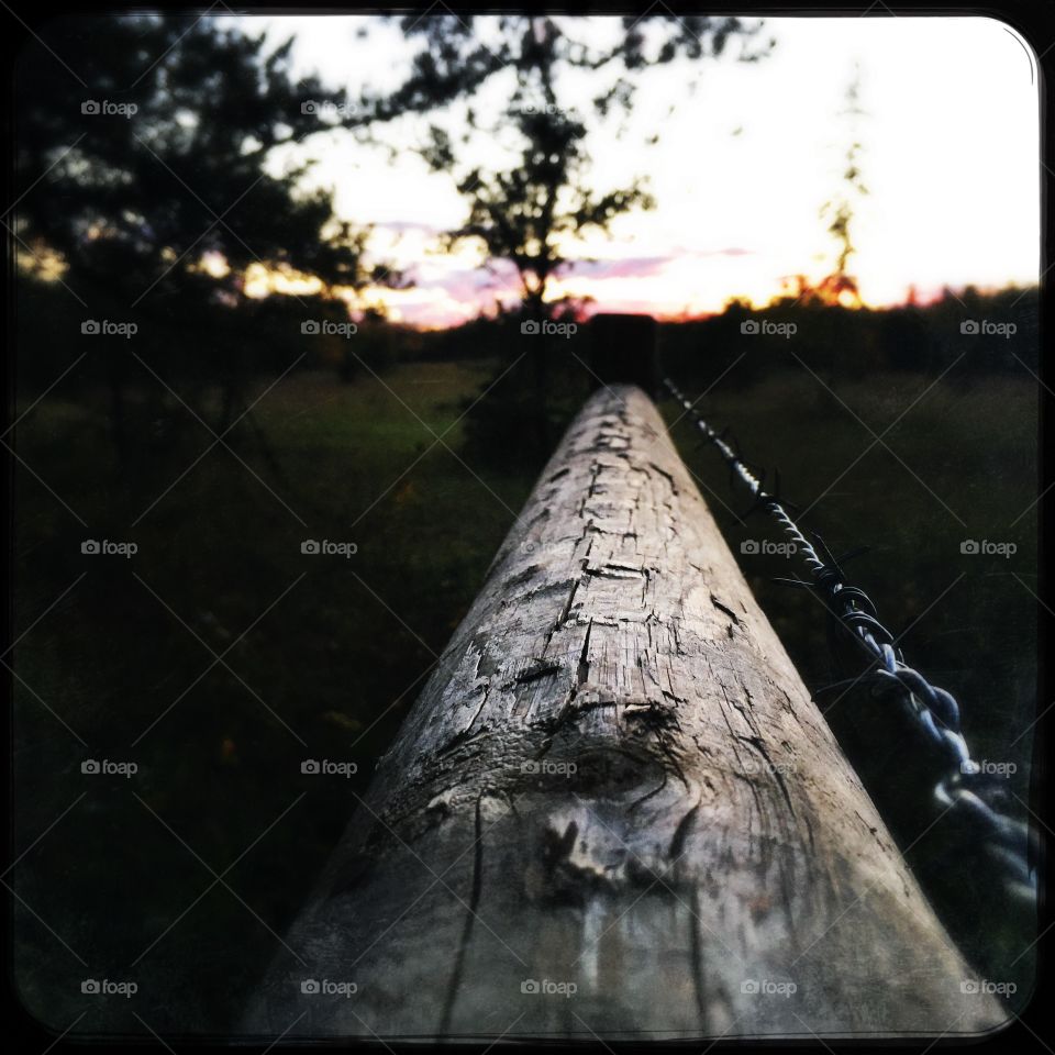 Fence line in the evening 