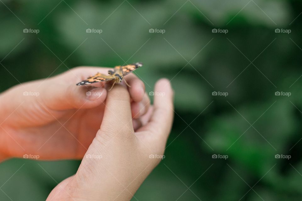 Playing with a butterfly 