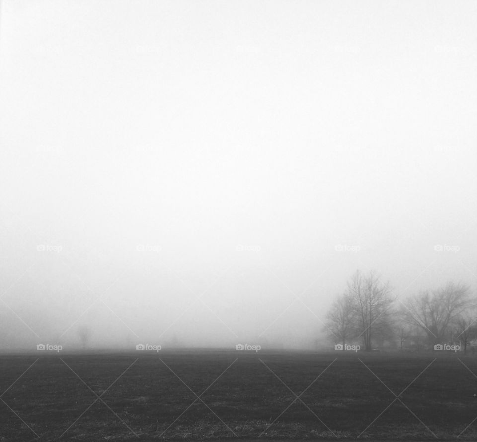 fog