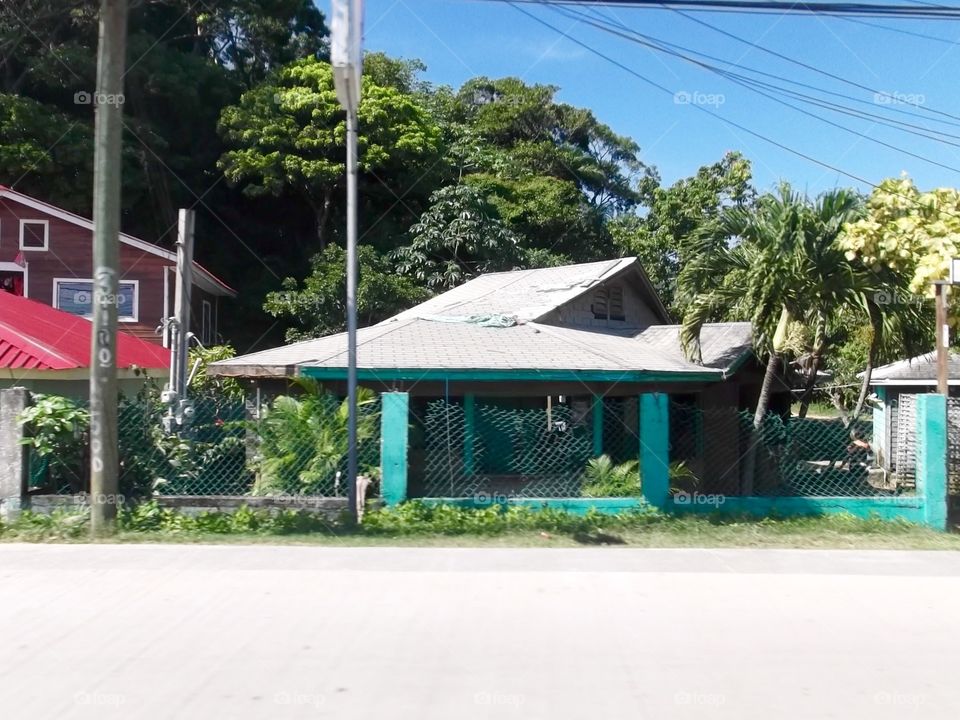 Photo from moving car traveling in Roatan, Honduras