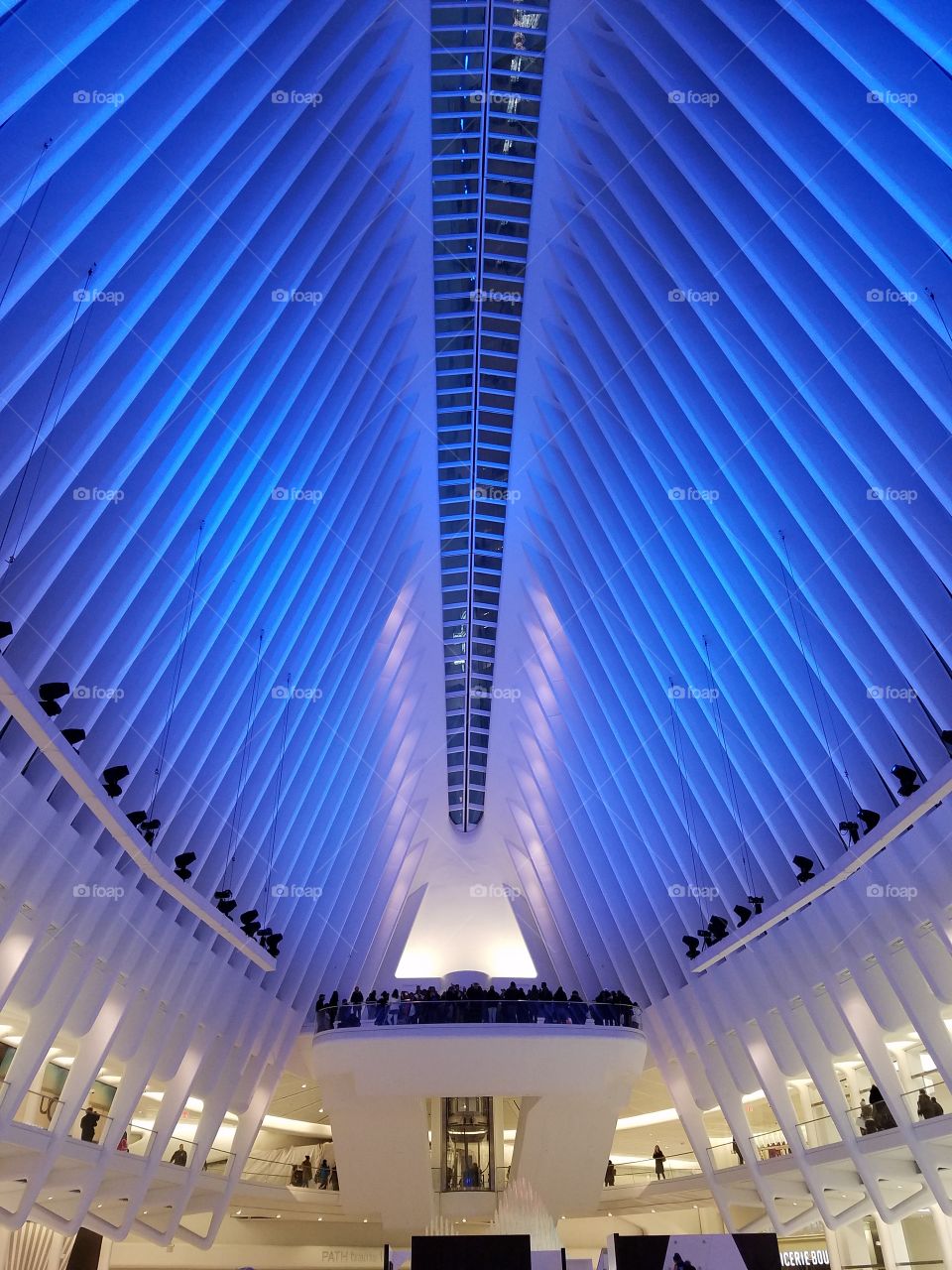Inside of The Oculus - Blue