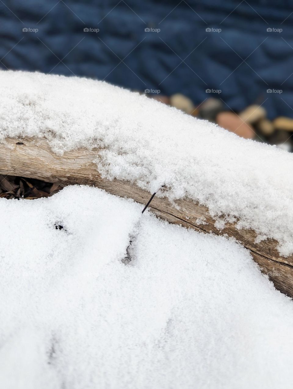 Snowy log