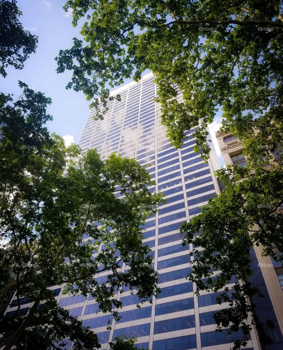 A ground view of a tall building. This picture makes the viewer feel like they're surrounded by nature. It also makes them feel like they're actually there!