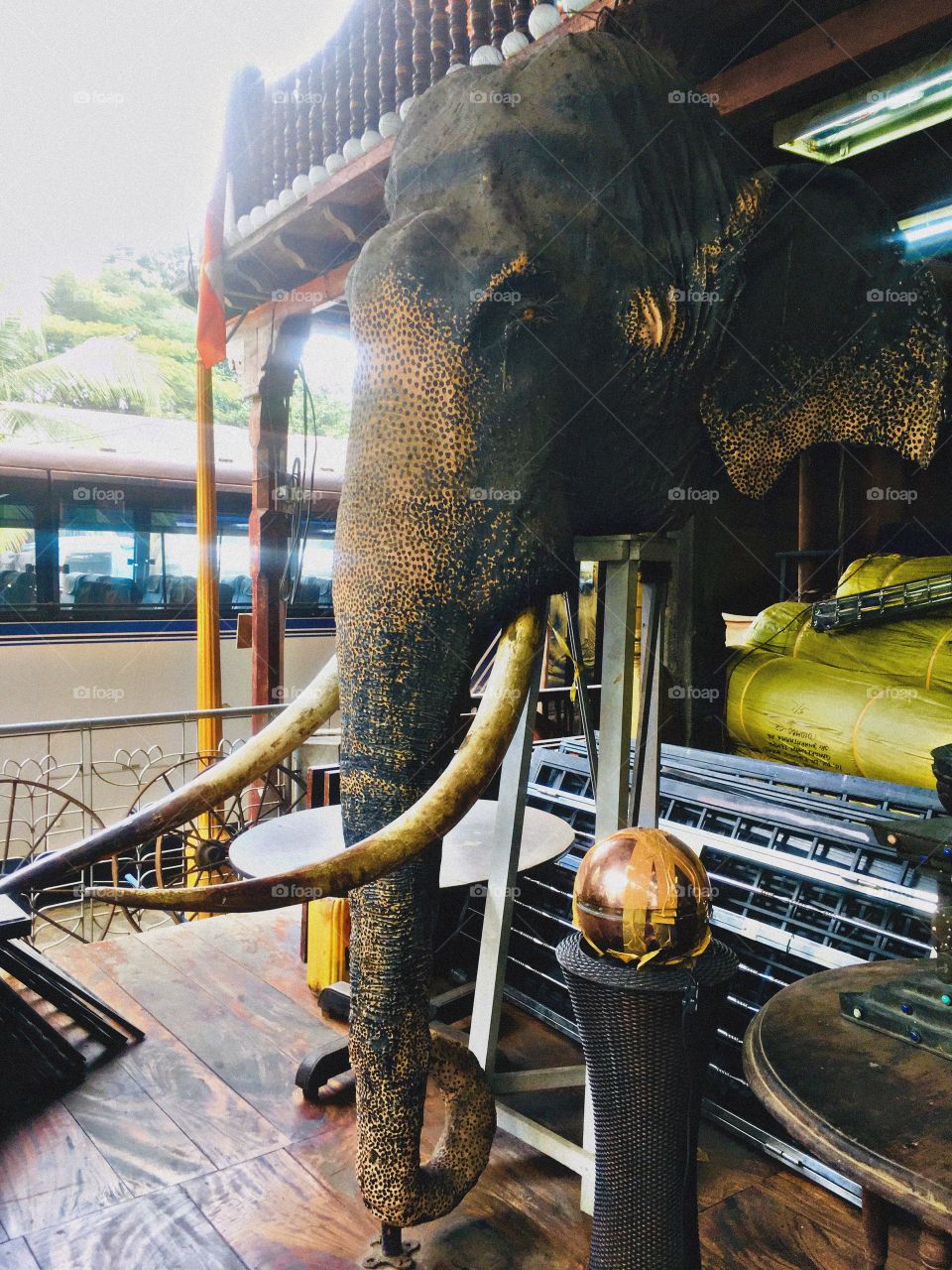 Cultural essence-Elephant