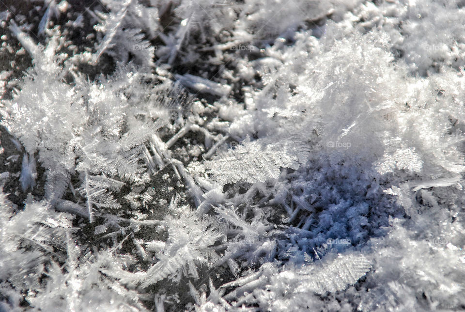 Snowflakes on ice