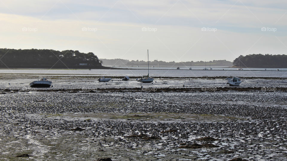 Oyster park in southern Brittany
