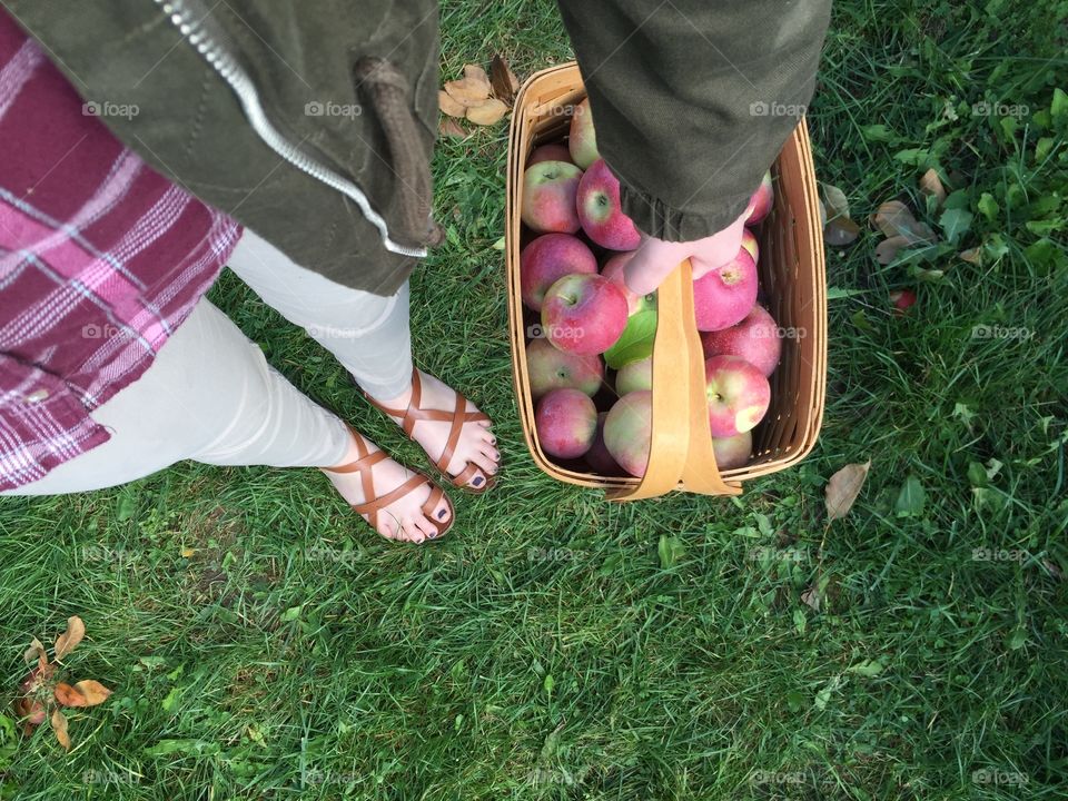 Apple Picking