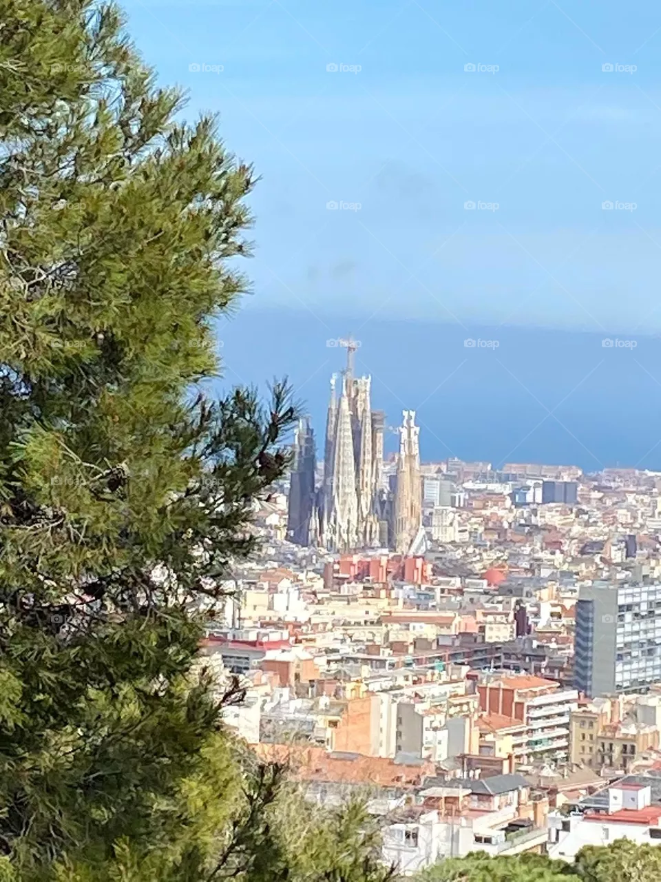 stay in barcelona, ​​spain