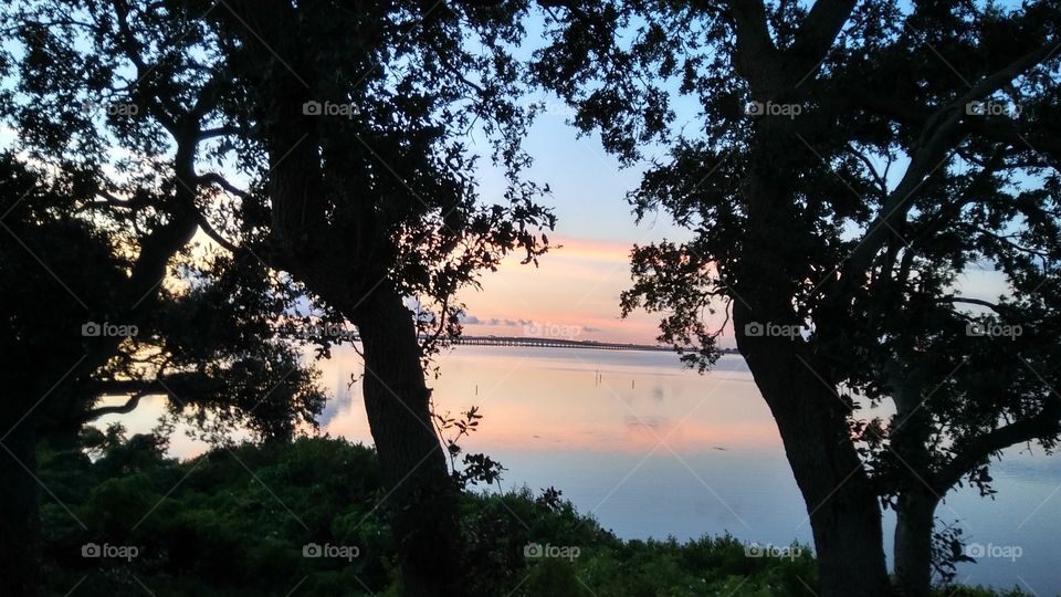 The sun shines on the bay