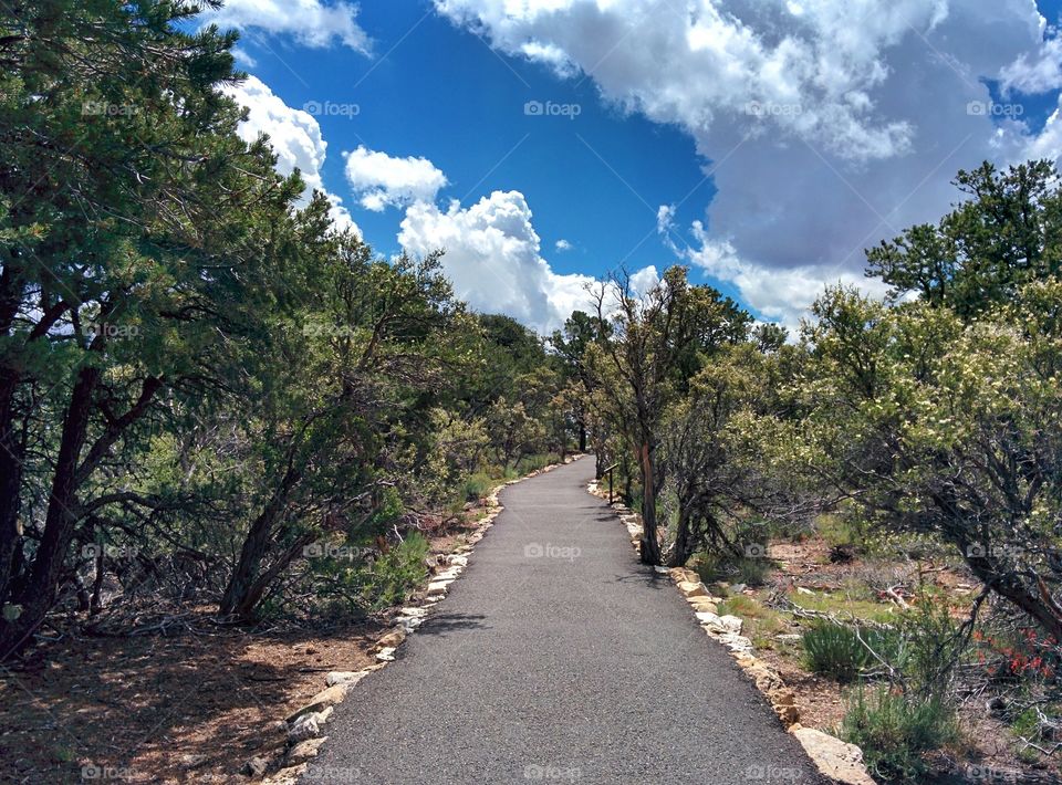 grand canyon north rim