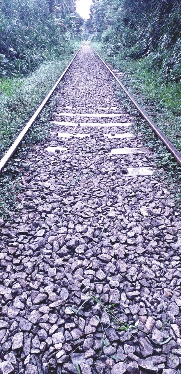 beautiful railway tracks