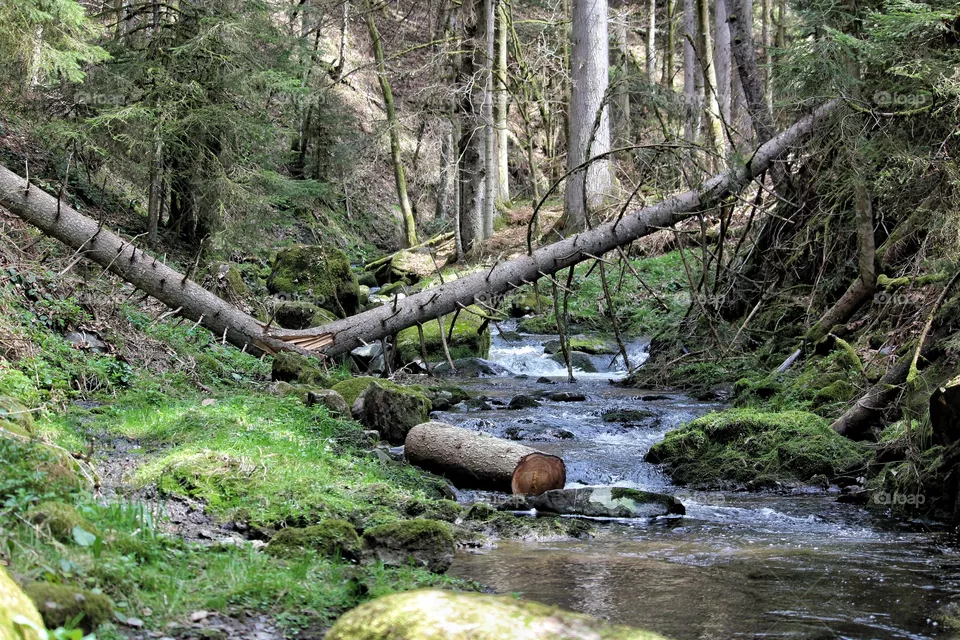 Bachlauf