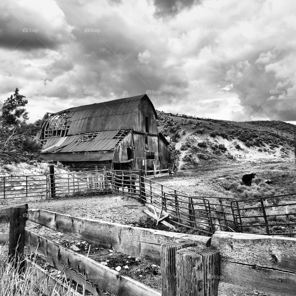 Idaho Barn