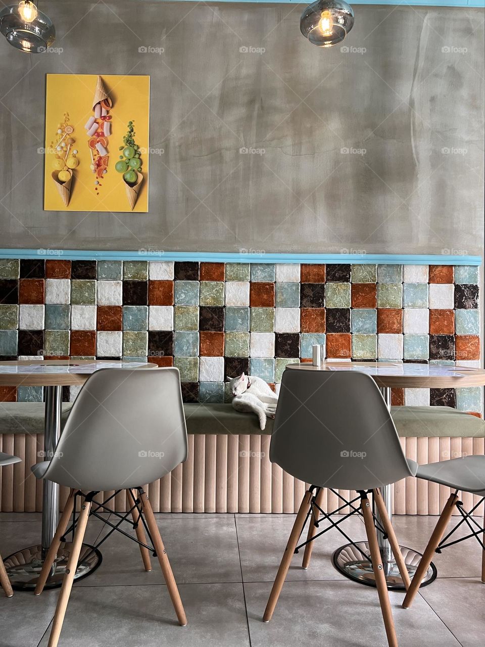 Cafe interior with a cat licking itself 