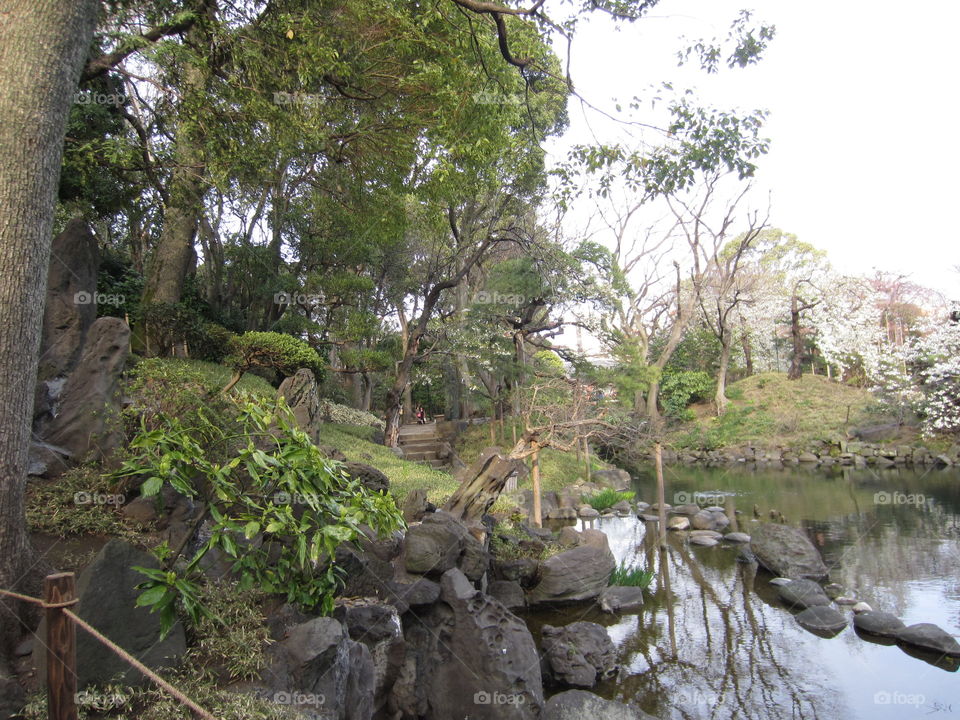 Asakusa Kannon. Sensoji Buddhist Temple and Gardens. Tokyo, Japan. River and Trees in Zen Garden