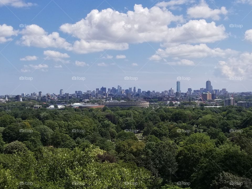 Boston Landscape