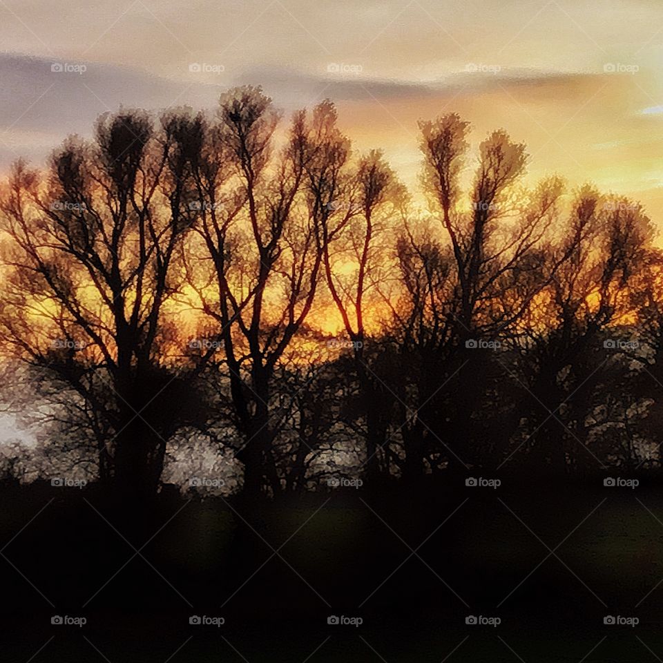 Connected features of existence right in front of us...