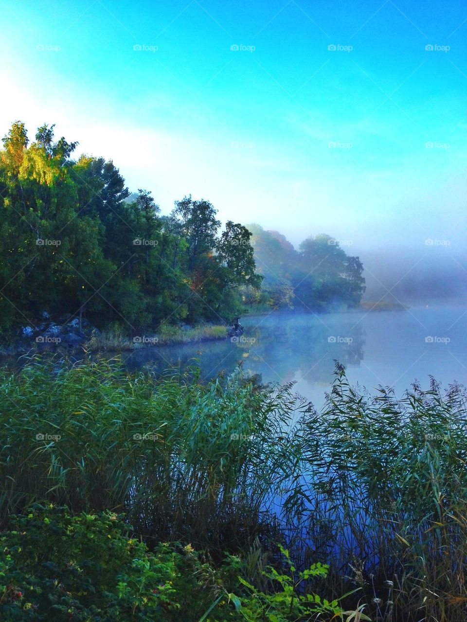 Scenic view of river during foggy day