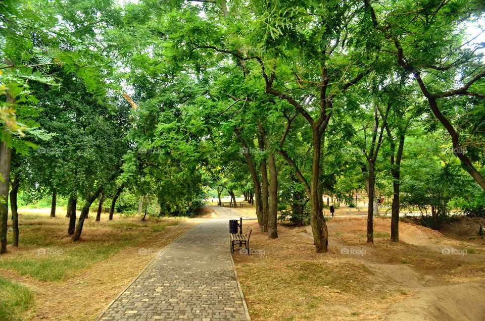 A mood’s color: green 😜