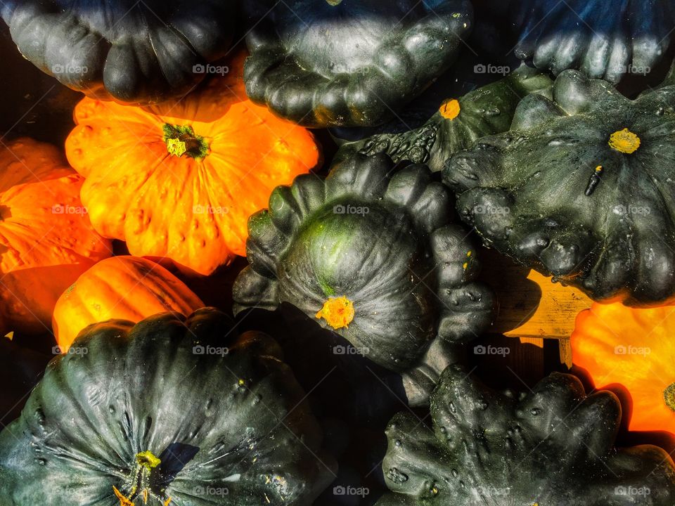 Full frame of pumpkin