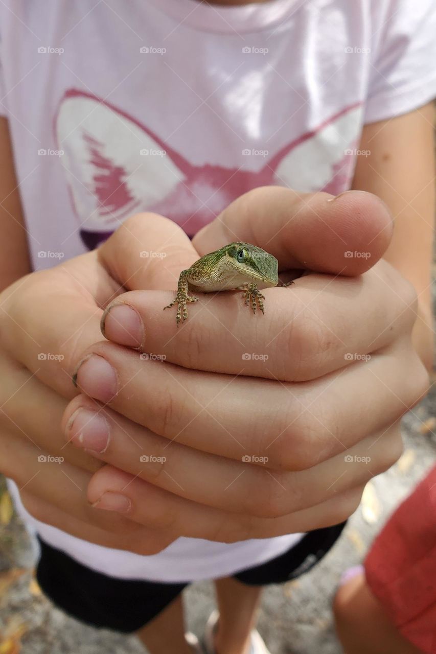 child holding a lizard