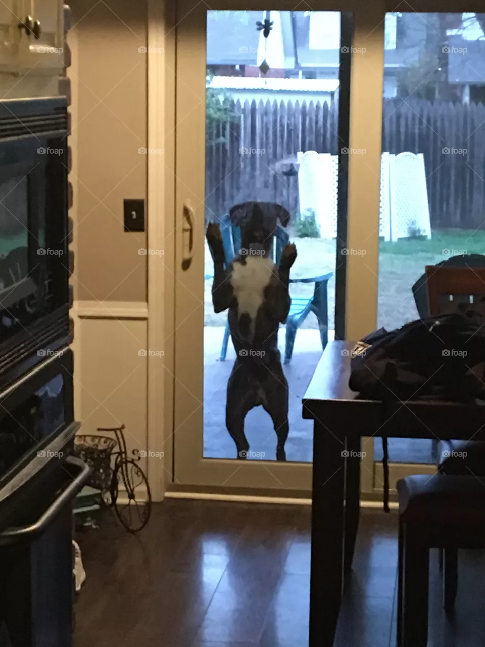 Let me in 
