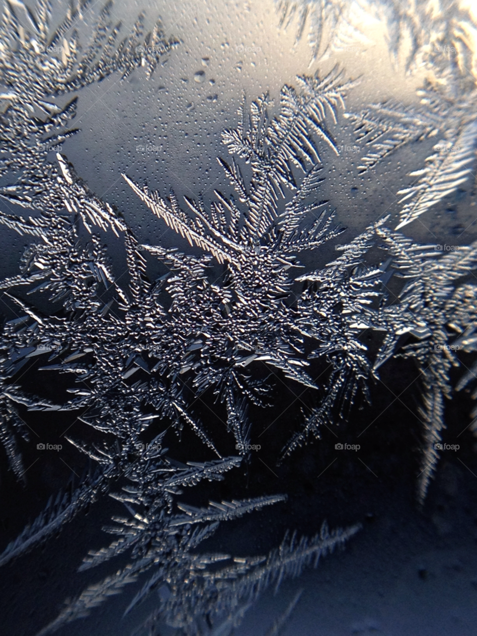 Snowflake on glass in winter