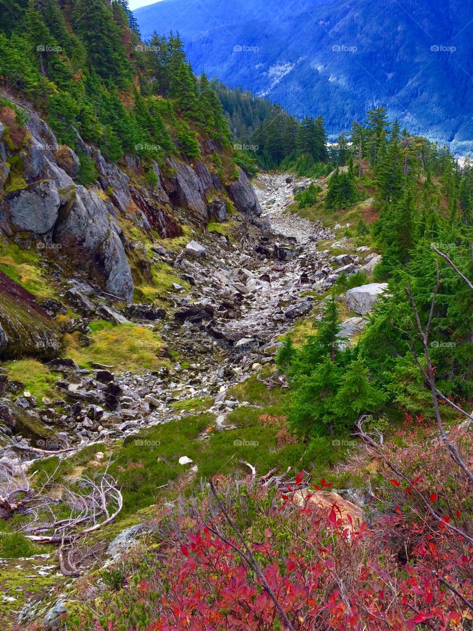 Looking down the alpine mountain slopes.