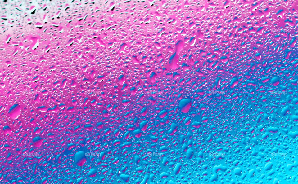 Beautiful abstract background with water droplets blue and mangenta colors, flat lay close-up. The concept of beautiful abstract backgrounds,wallpaper, textures.