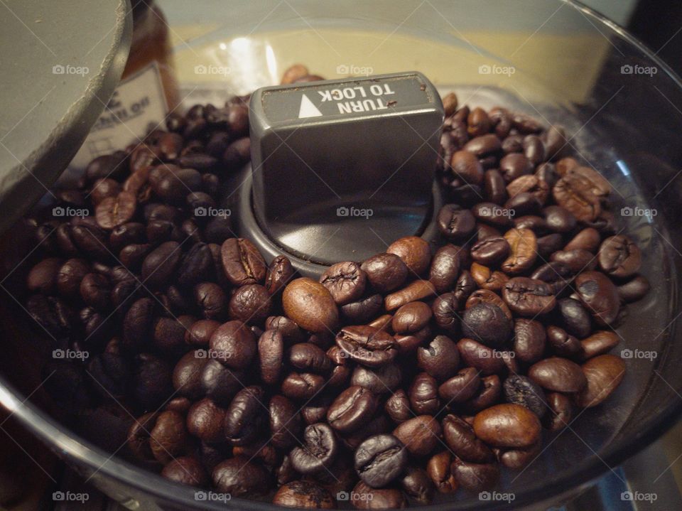 Arabica