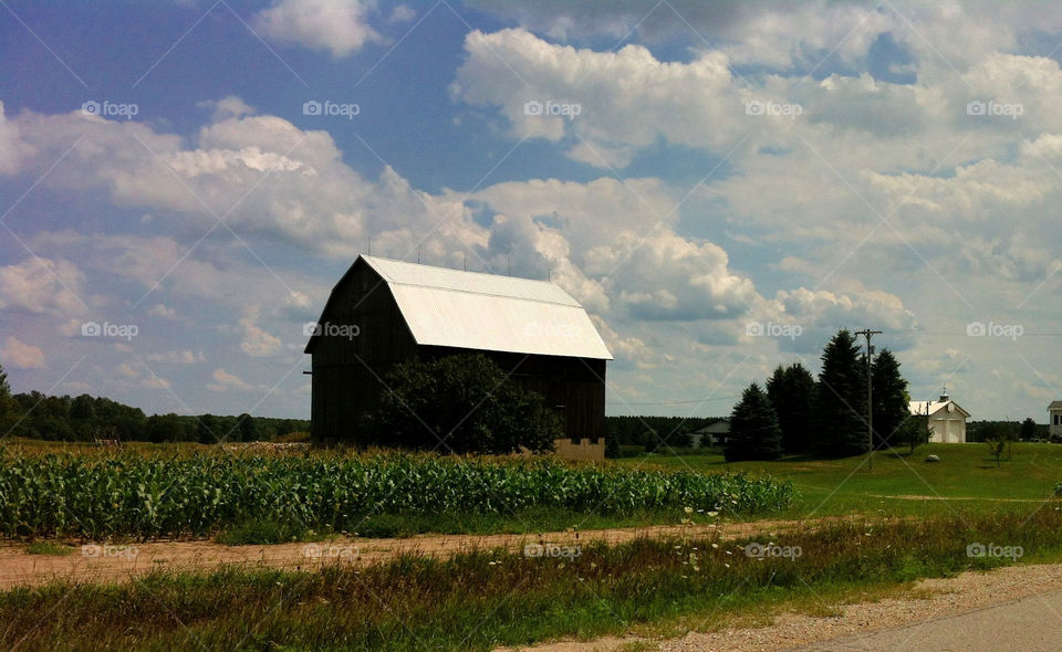 sky field blue clouds by serenitykennedy