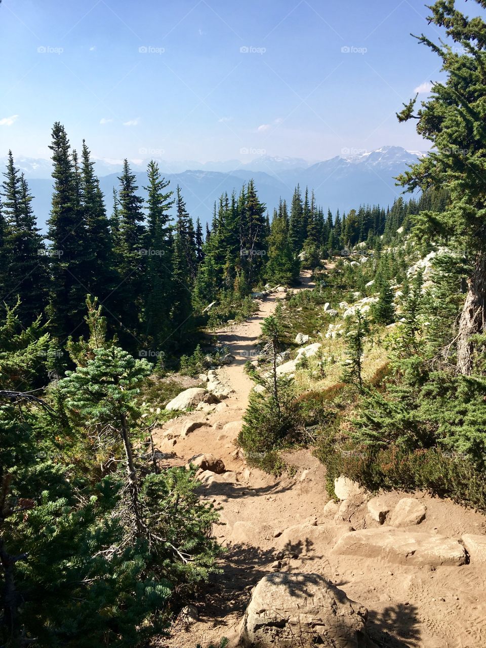Hiking Trail, Blackcomb Mountain, British Columbia 