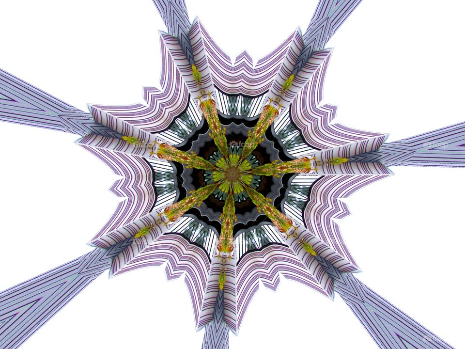 architecture landscape