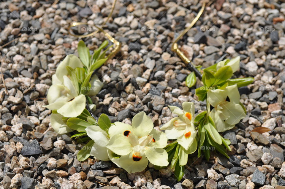 Beautiful flower crown