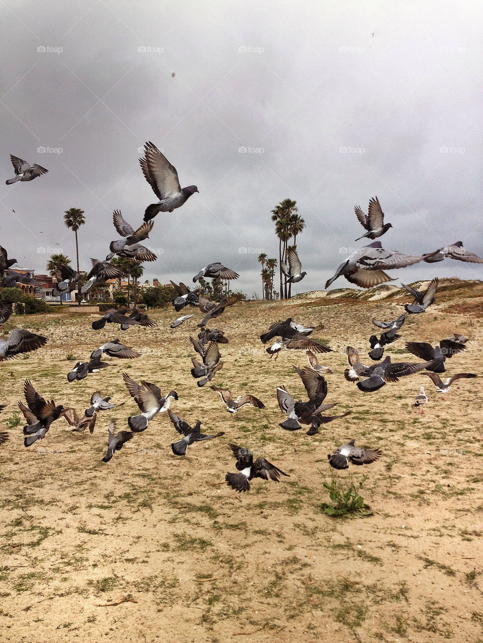 beach ocean sky nature by analia