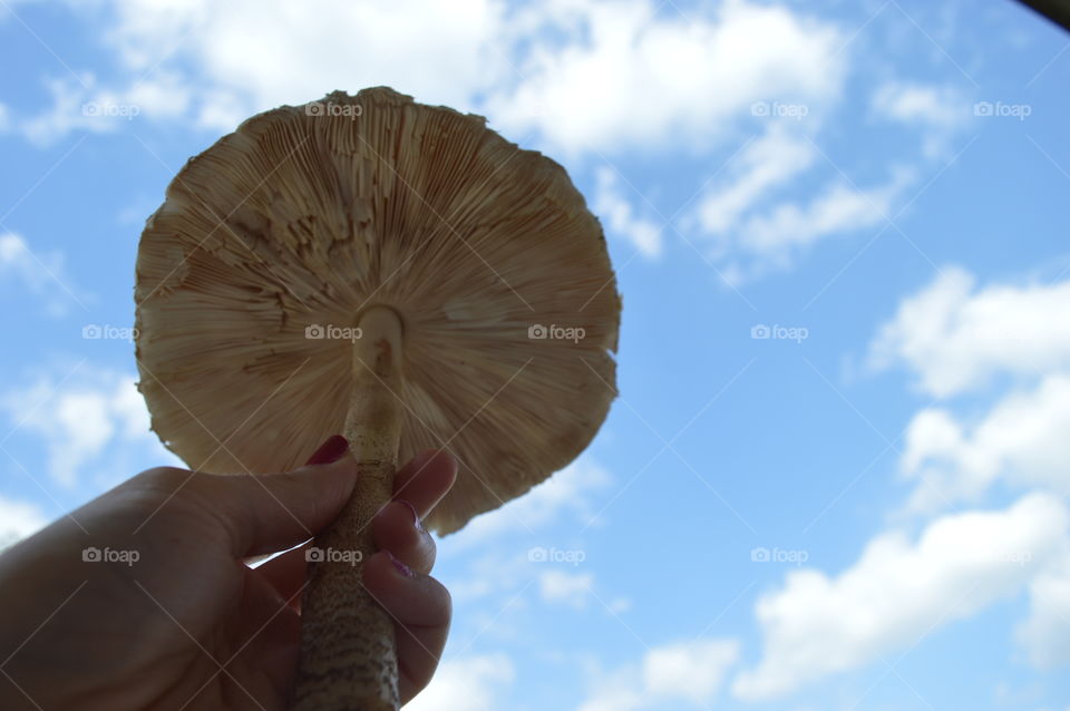 looking up in the sky