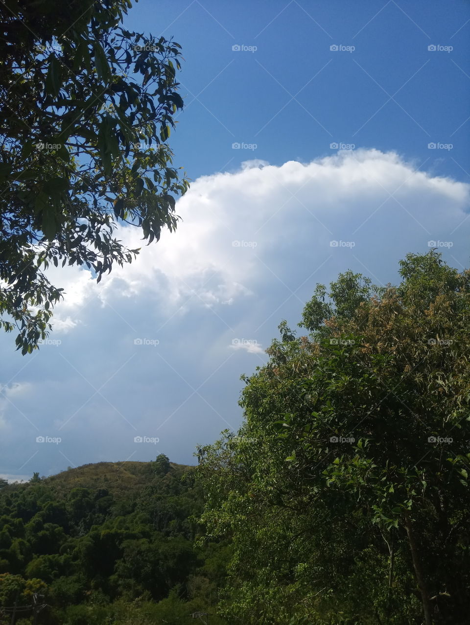 Magé Parque Estrela RJ