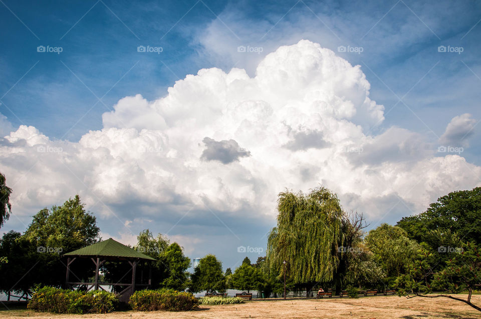 Clouds ober the park