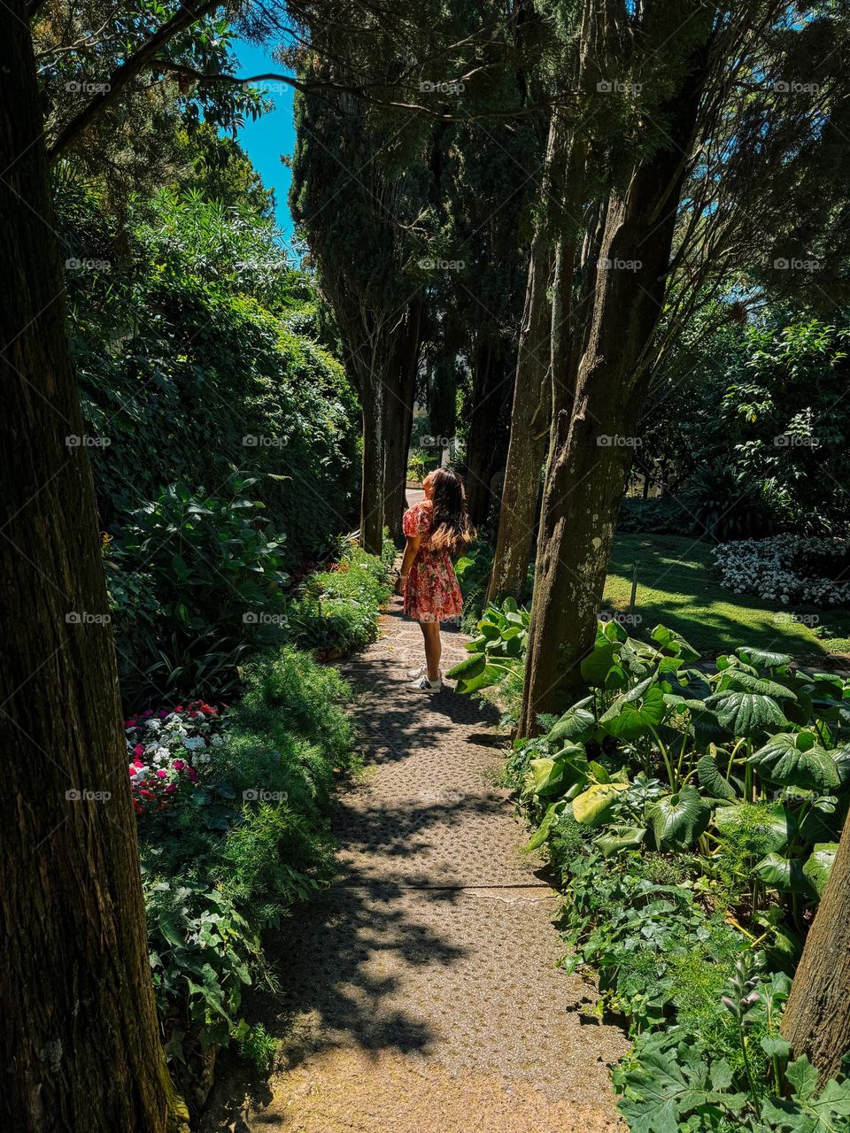 sun lighting up the gardens in Anacapri Italy